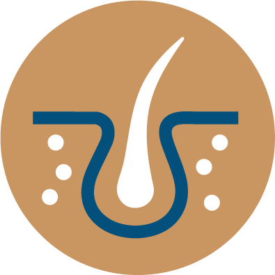 Dermatologic Concerns icon